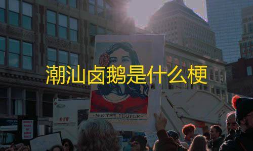 暗区突围辅助群潮汕卤鹅是什么梗